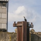 Duisburger Hafen 2017