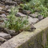 Duisburger Hafen 2017