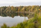 Herbst in der Dellbr&uuml;cker Heide